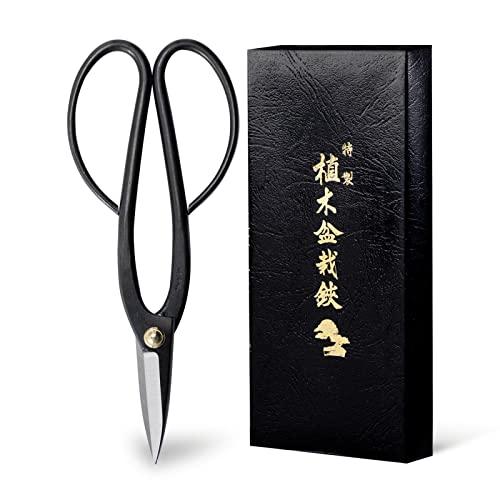 Wazakura Ashinaga Bonsai Pruning Scissors 8inch (200mm) MADE IN JAPAN, Long Handle Bonsai Cutter in Carbon Steel, Rose Pruning Shears, Flower Scissors, Japanese Gardening Tools - color: Ashinaga 8"