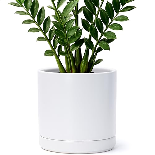 D'vine Dev 8.2 Inch Ceramic Planter Pot, White, 94-O-D-1 - color: White, size: Medium