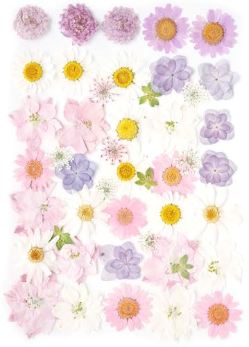Real Dried Pressed Flowers Leaf Plant Herbarium for Crafts Resin Jewelry Making, Floral Cake Decorations-Light Pink - color: Light Pink