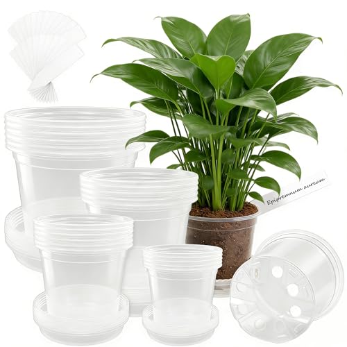24 Pcs 7/6/5/4 In Clear Nursery Pots for Plants with Saucers, 24 Labels - size: 4/5/6/7 24pcs