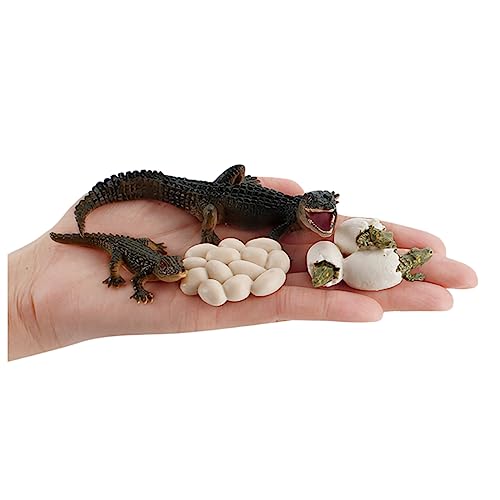 Montessori Life Cycle Animal Plastic Insect Figurines Learning & Education Toys for Kids, Preschool Activities (Crocodile Salmon Turtle) - color: Crocodile Salmon Turtle