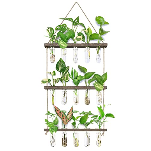 XXXFLOWER Wall Hanging Propagation Station with Wooden Stand 5 Glass Test Tubes 3 Tiered + 2L Long Green Spout Removable Nozzle Flower Watering Pot