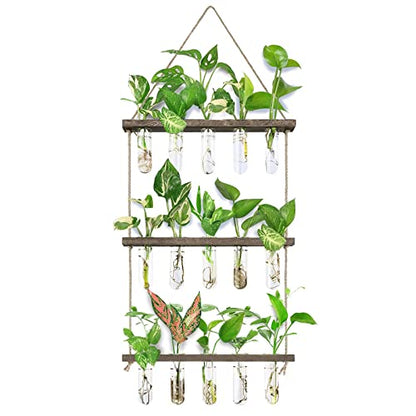 XXXFLOWER Wall Hanging Propagation Station with Wooden Stand 5 Glass Test Tubes 3 Tiered + 2L Long Green Spout Removable Nozzle Flower Watering Pot