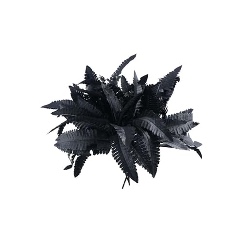 Fern Preserved Black Ferns, Dried Boston Fern with Stems,Real Leaves for Dried Flowers Arrangements Wedding Garland Bouquets Home Party Decorations