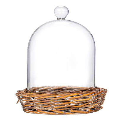 Creative Co-Op Round Glass Cloche with Woven Willow Base, Clear