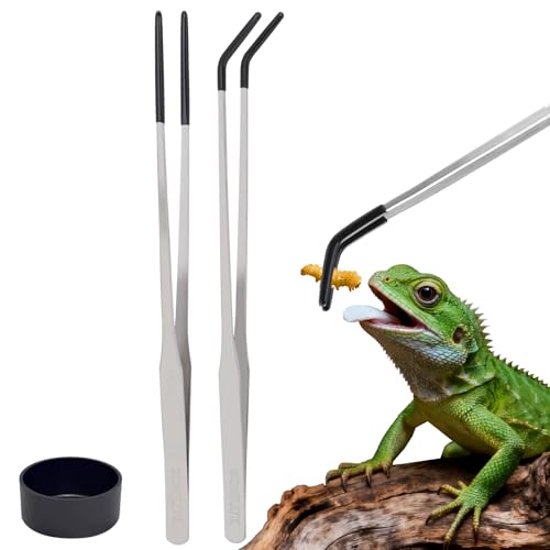 3 Pack Reptile Feeding Tongs&Bowl Set,10.62",Rubber Tips(B-Silver) | Straight &Curved,Stainless Steel,Non Slip,Rustproof,Long Feeder Tools for Bearded Dragon,Lizard,Craft,Terrarium Tank Supplies - color: B-silver