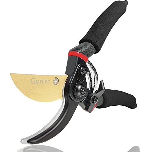 gonicc 8" Professional Premium Bypass Titanium Pruning Shears(GPPS-1003) | Titanium coated SK5 steel blade, Ergonomic non-slip handle, Sap groove anti-stick design, Cuts up to 3/4" branches - color: Golden Titanium Bypass Pruning Shears