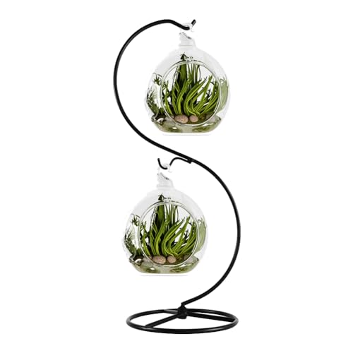 13 Inch Unique Ornament Display Stand, Black Metal Ornament Hanger Stand, S-type Two Hooks for Hanging Glass Globe(5inch), Christmas Ornament, Air Plant Terrarium, Witch Ball, Home Wedding Decoration (1, 13.8x5"Black) - size: 13.8x5"Black