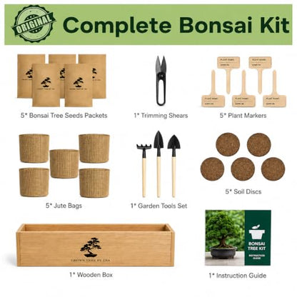 Bonsai Tree Starter Kit for Beginners – Complete Indoor Growing Kit with 5 Unique Japanese Bonsai Tree Seeds Pots & Gardening Tools DIY Gift for Adults