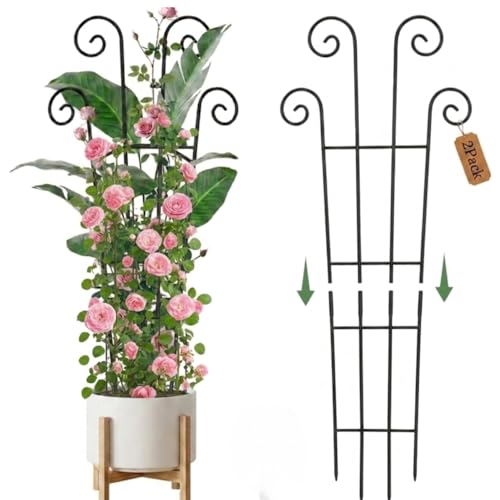 2 Pack 33 inch Plant Trellis for Climbing Plants Outdoor/Indoor, Expandable Large Metal Garden Trellis for Climber Plants, Sturdy Houseplant Support Stakes for Potted Vine Ivy Pothos Monstera - size: 33in/2Pack,Style 2