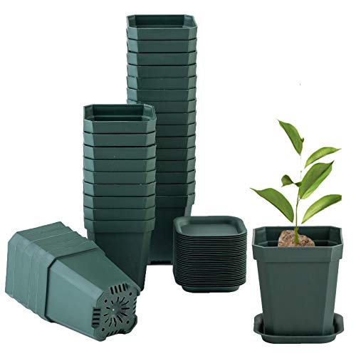 30Pcs 3" Plants Nursery Pot with 30 Saucers Black-green, Square Plant Pots | Thick Plastic Planting Seedling Pots, Seed Starting Pots - color: Black-green