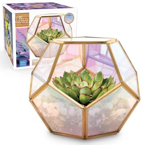 D'Eco Iridescent Glass Sphere Plant Terrarium and Centerpiece | Tabletop Geometric Planter Terrarium, Fill Display with Succulents, Moss, Air Plants, Ferns, Home & Office Decor, Dims:8x8x8" - color: Iridescent Gold, size: 1 Pack