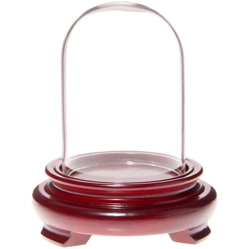 Plymor 2" x 3" Mini Glass Display Dome Cloche (Red Wood Veneer Footed Base) - color: Red Wood Veneer Base