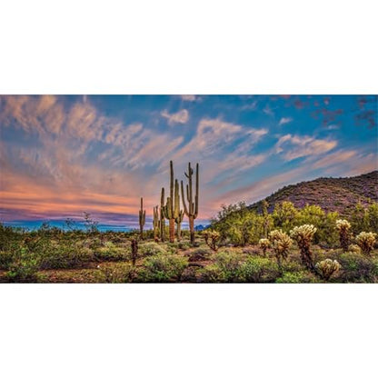 30x12 in Desert Cactus Terrarium Backdrop Oasis Reptile Habitat Background - size: 30x12in/75x30cm