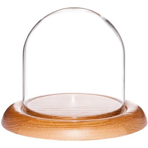 Plymor 4" x 4" Glass Display Dome Cloche (Oak Wood Base) - color: Oak Base