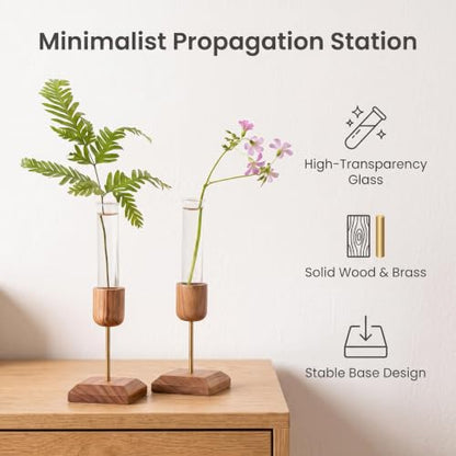 2Pcs Plant Propagation Vases with Wooden Stand | Small Vases for Hydroponic Plants Cutting Office Home and Garden Decor
