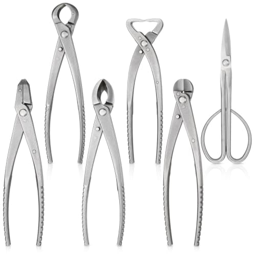 6 Pcs Bonsai Tools Set for Precise Pruning & Shaping Tasks
