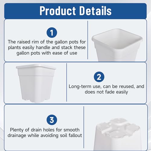 WFLNHB 1 Gallon 10 Pcs Square Plastic Plant Pots Flexible Nursery Pot Planter Nursery Pots Suitable for Flower Vegetables Succulents White - color: White, size: 1 Gallon-10 Pcs
