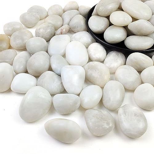 20LB White River Rocks,1-2.2 Inch Polished Pebbles for Plants, Decorative Stones for Landscaping. Succulents, Crafting,Fish Tank,Garden,Vase Filler, Outdoor Decoration - size: 20LB, style: White