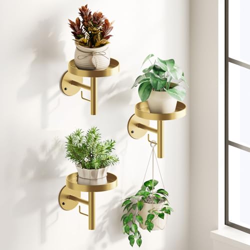 DELLAN Wall Plant Holder, 3-Pack Floating Shelves for Plants, All Gold - color: Golden