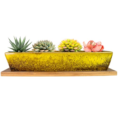 ARTKETTY Succulent Pots, 9.8 Inch Ceramic Succulent Planters with Drainage - color: Yellow
