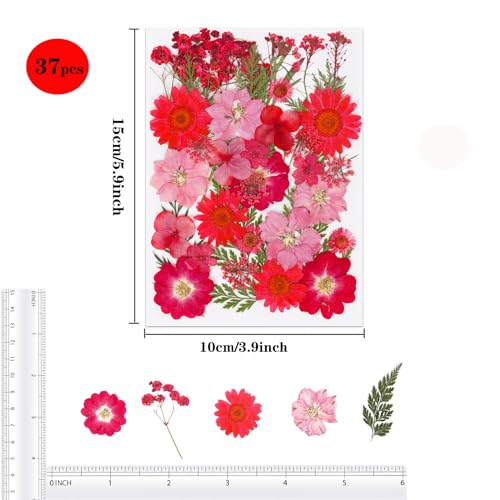 37Pcs Red Dried Pressed Flowers Natural Dried Flowers for Resin,Real Pressed Flowers for Crafts,Dry Flowers for Resin Molds DIY Scrapbookin Candle Jewellery Making - color: 37pcs Red