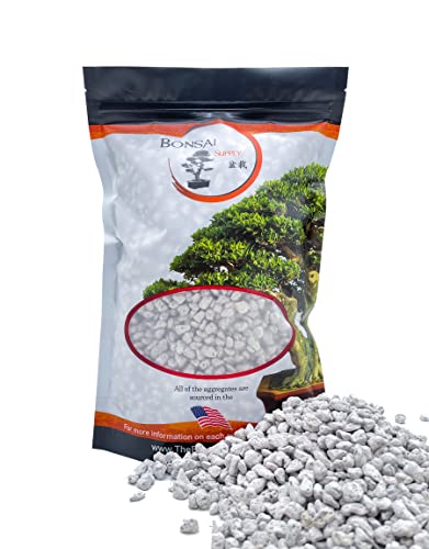 Pumice for Bonsai, Succulent, Cactus, Alocasia, Monstera, and Tropical Aroids | 2 Quarts Bag | 1/4” Particle Size | The Bonsai Supply - size: 1/4"