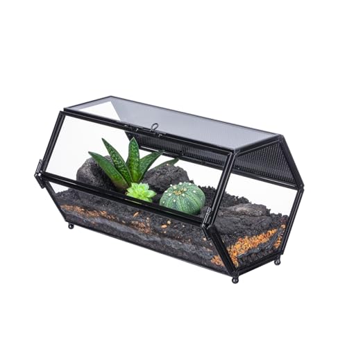 NCYP Small Glass Enclosure Terrarium with Mesh & Door for Tiny Beetle - Hexagon Jumping Spiders Vented Glass Terrarium 7.87" x 4.72" x 4.25" Black (Plants Not Include) - size: 7.87" x 4.72" x 4.25"