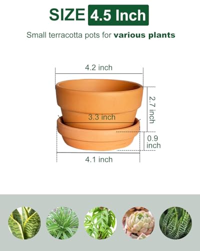 4.5 Inch Shallow Terracotta Plant Pots - 6 Pack Small Clay Flowerpot with Drainage Hole, Terra Cotta Succulent Pot for Indoor Outdoor Plants - size: 4.5 inch