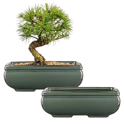 Set of 2 Large Bonsai Pots with with Drainage Hole, 8.7" Green Glazed | Ceramic Rectangle Bonsai Tree Pots, Shallow Bonsai Planters for Indoor Outdoor Plant, Succulents, Cactus, Home, Patio, Garden - color: Green, size: 8.7"x5.9"x3.1"