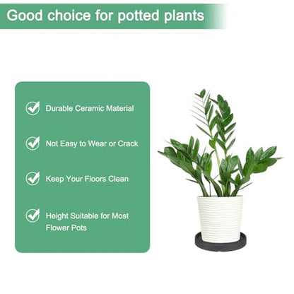M METERXITY Ceramic Plant Saucer, 6.3 Inch Plant Water Catcher Tray, Plant Pot Saucers for Indoor/Outdoor Plants/Flower Drainage Drip Water Tray [Round Black] - color: Black