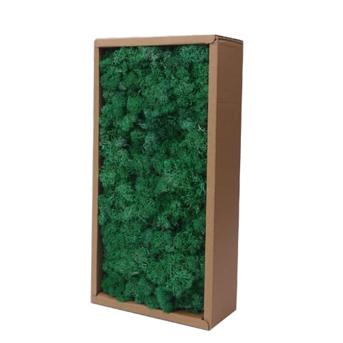 Preserved Reindeer Moss Craft Kit - 17.6oz Natural Green - DIY Art Wall Florist Terrariums Decor (Turquoise 17.6 OZ) - color: TURQUOISE, size: 1.1LB