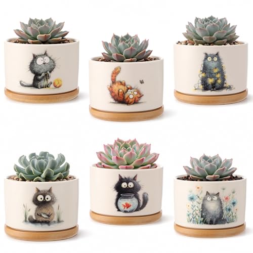 6 Pcs Frizzy Cat Succulent Planters Cute Ceramic Succulent Pots Bamboo Tray Funny Office Gifts for Cat Lovers Coworker Volunteer Nurse Teacher Mentors Plants Excluded - style: Frizzy Cat