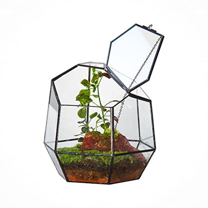NCYP Handmade 7.5inches Small Close Geometric Terrarium with Door, Black Irregular Glass Planter, Modern Succulent Cacti Flower Pot, Home Garden Decor DIY Gift (Plants and Props NOT Included) - size: 8x7x7.5inches