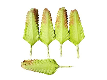 Ploen 25 pcs Light Green Leaves Ferns Mulberry Paper Leaves with Wire Stems Fern1 Leaf Mulberry Paper Craft Supplies Scrapbooking Embellishments for so Many Card DIY Craft Projects Leaves212