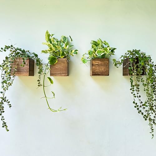 LaLaGreen Wall Planter for Indoor Plants (4x4, 4 Pack) Hanging Wooden Boxes - size: 4x4" x 4 pack