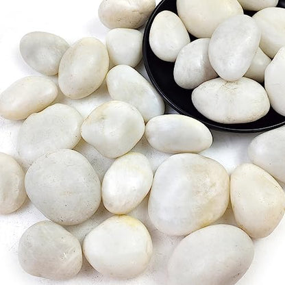 10LB White River Rocks - 2-3 inch High Polished Decorative Pebbles for Landscaping, Outdoor Decor and Plants - size: 10LB, style: White