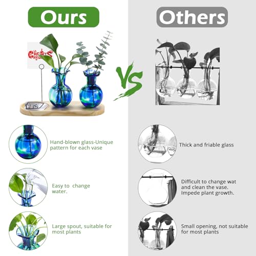 Hand Blown Glass Plant Propagation Stations Plant Terrarium Wooden Stand for Hydroponic Plants Combine Jewelry Tray and Photo Holder Office Home Garden Decor - 2 Bulb Glass Vases