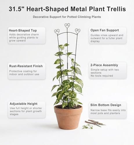 31.5 Inch Trellis for Potted Plants, Metal Plant Trellis for Climbing Plants, Plant Support for Ivy, Monstera, Hoya, Indoor & Outdoor Houseplant Trellis, Black, 1 Pack - size: 1 Pack/31in