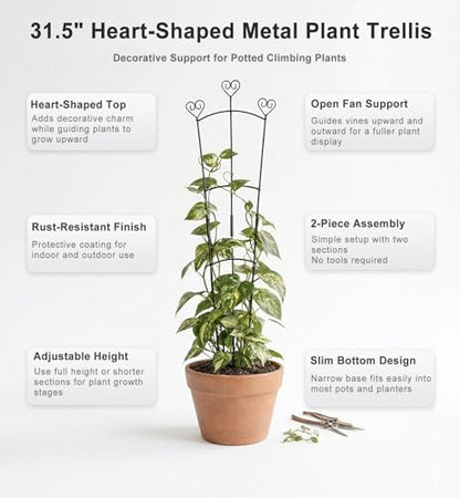 31.5 Inch Trellis for Potted Plants, Metal Plant Trellis for Climbing Plants, Plant Support for Ivy, Monstera, Hoya, Indoor & Outdoor Houseplant Trellis, Black, 1 Pack - size: 1 Pack/31in