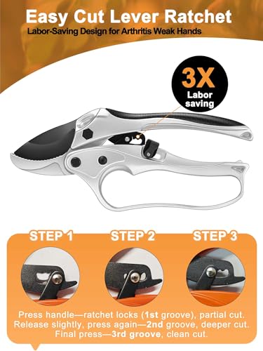 Ratchet Anvil Pruning Shears for Gardening Heavy Duty, Labor-Saving Design Garden Clippers for Arthritis Weak Hands, 3/4" Cut Capacity Branch Cutter for Tree Trimming, Flower, Rose, Plant - style: Ratchet+Anvil-Silver
