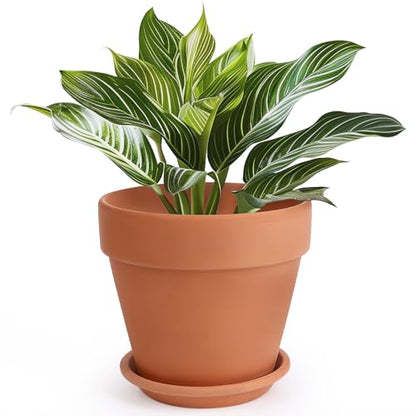 INGOFIN Terracotta Pot with Saucer - 10 Inch Ceramic Clay Pot for Plants with Drainage Hole, Large Terra Cotta Flower Planter with Tray for Indoor Outdoor Plants - size: 10 inch