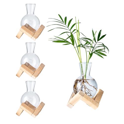 Propagation Stations, Propagation vases with Wooden Stand, Small Tabletop Glass Bulb Vases for Hydroponics Plant Propagation Station Home Office Decoration, Gift for Women Plant Lovers (4)