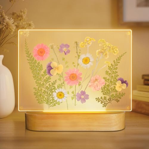 Okayera Dried Flower Frame with LED Light - Display for Pressed Flowers 4x6inch, Unique Gift for Women Mom Wife Girlfriend Valentines Mothers Day Birthday Christmas, Night Light for Bedroom Home Decor - color: Pink Flower Frame Lamp