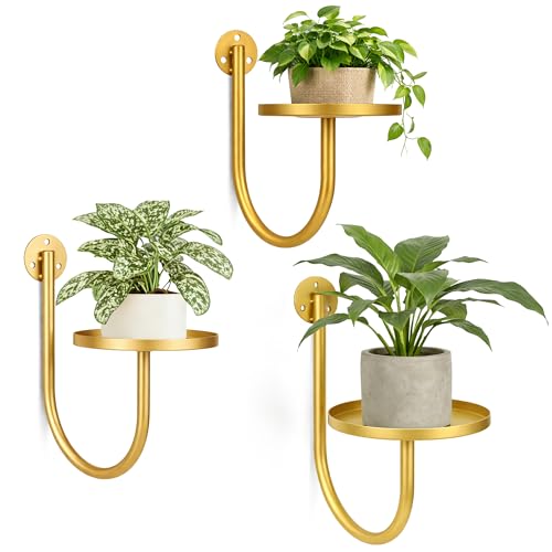 Wall Plant Holders for Indoor Plants, 3 Pack Golden - color: Golden