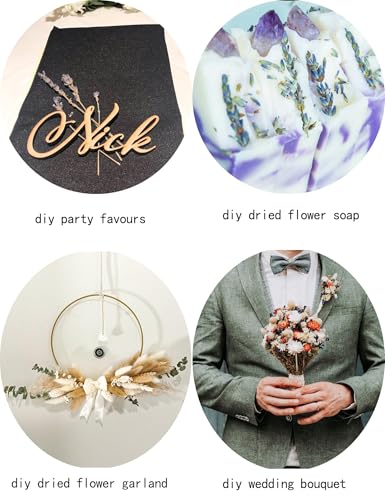 xin's convey DIY Natural Dried Flower Set, Bulk Dried Flowers for Vase, Dried Flowers with Stems, Dried Roses, Mini Dried Flower Bouquets.(Brown) - color: Brown