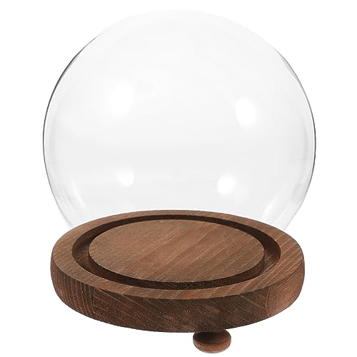 Glass Display Dome with Wood Base 5.3 Inch Clear Glass Cloche Terrarium Globe for Miniature Plants Preserved Flowers and Home