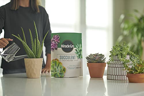 Miracle-Gro Succulent Potting Mix, 4 qt. (2-Pack) - size: 2 Pack, style: Succulent