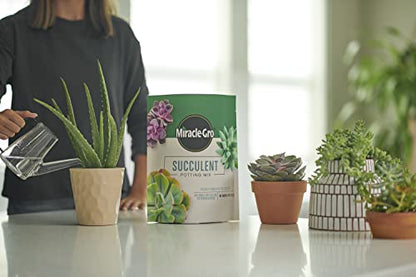 Miracle-Gro Succulent Potting Mix, 4 qt. (2-Pack) - size: 2 Pack, style: Succulent