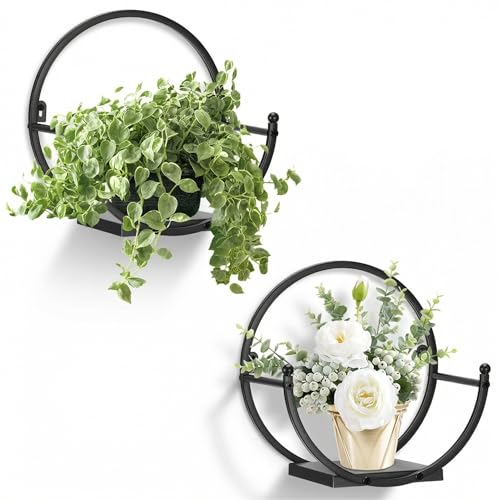 Wall Plant Holders for Indoor Plants, Round Mounted Frame, 2 Pack | Space-Saving Round Wall-Mounted Planter Frame Designed for Home Decor and Hanging Indoor Flower Pots